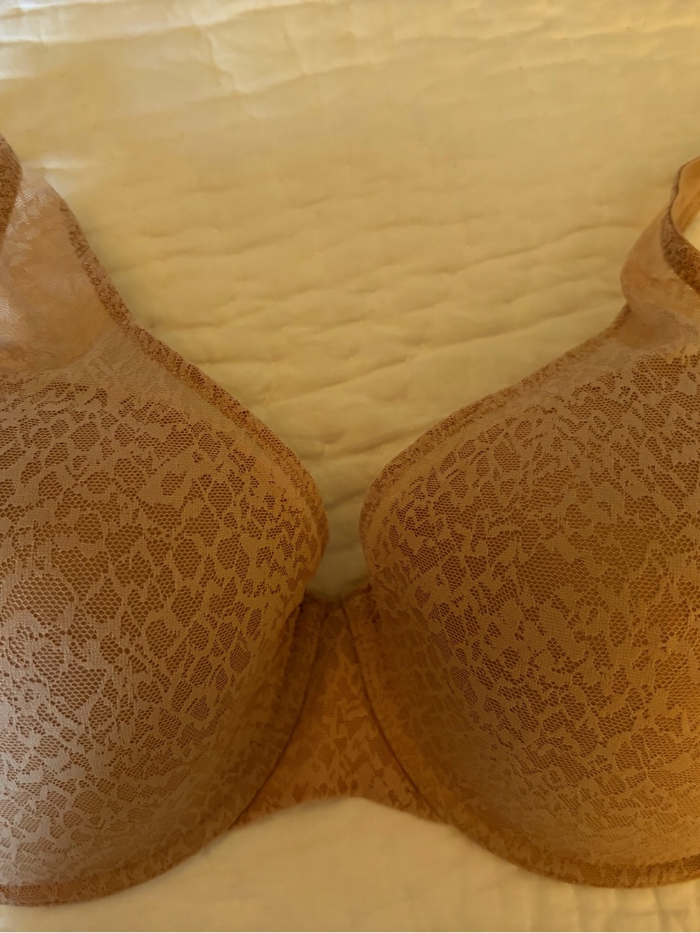 Natori Lace T-Shirt Bra Pair in Light Blue and Nude - Picture 2 of 12